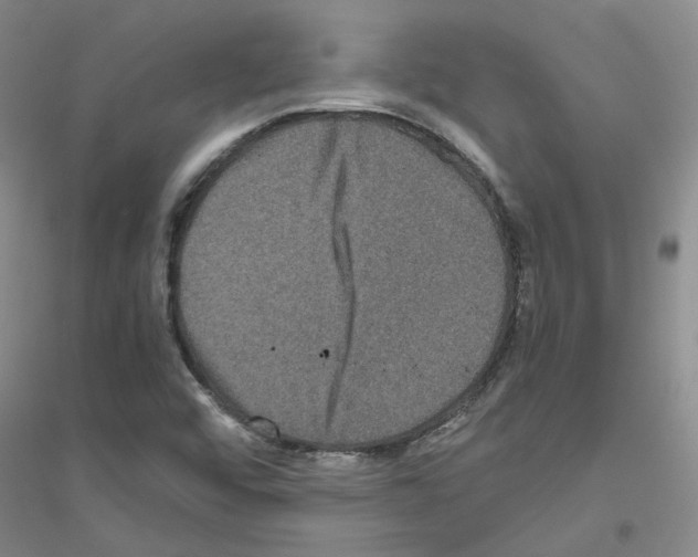 X0000116781456201001281644