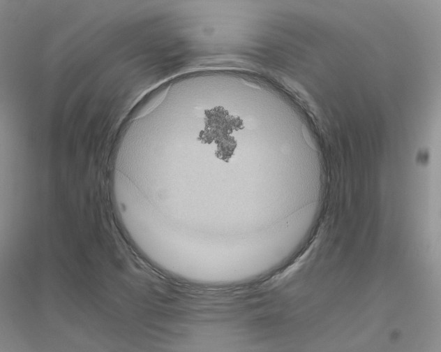 X0000116781457201001281644