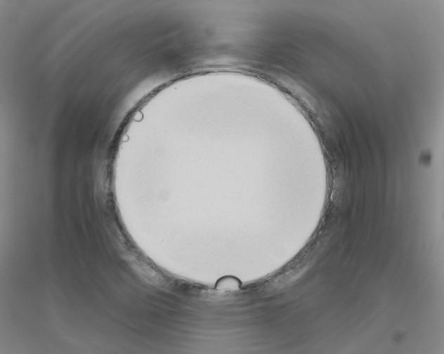 X0000116781458201001281644