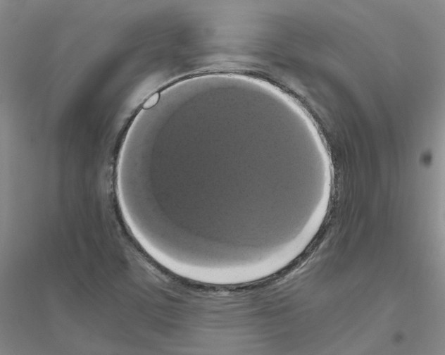 X0000116781459201001281644