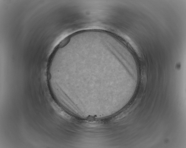 X0000116781460201001281644