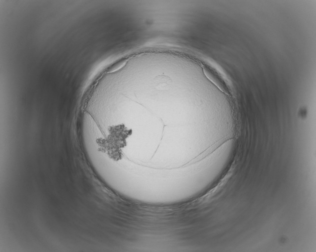 X0000116781461201001281644