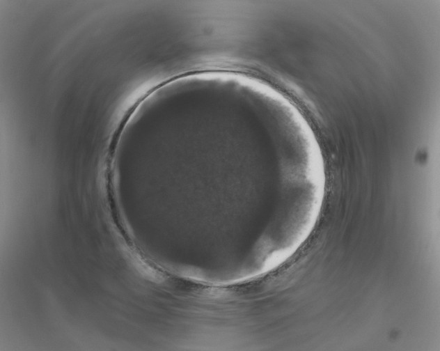 X0000116781463201001281644