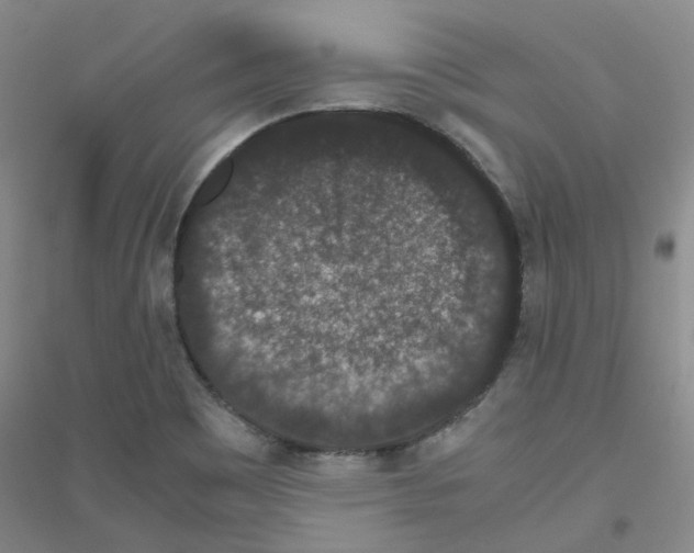 X0000116781465201001281644