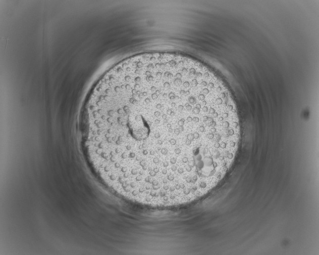 X0000116781467201001281644