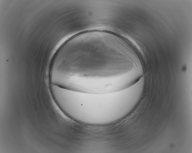 X0000116781468201001281644