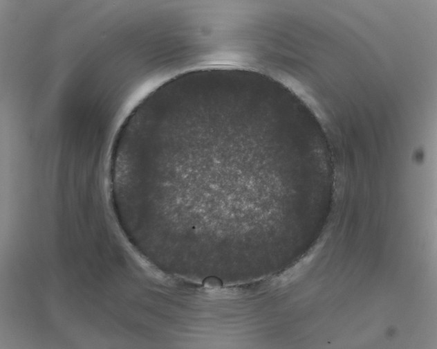 X0000116781469201001281644