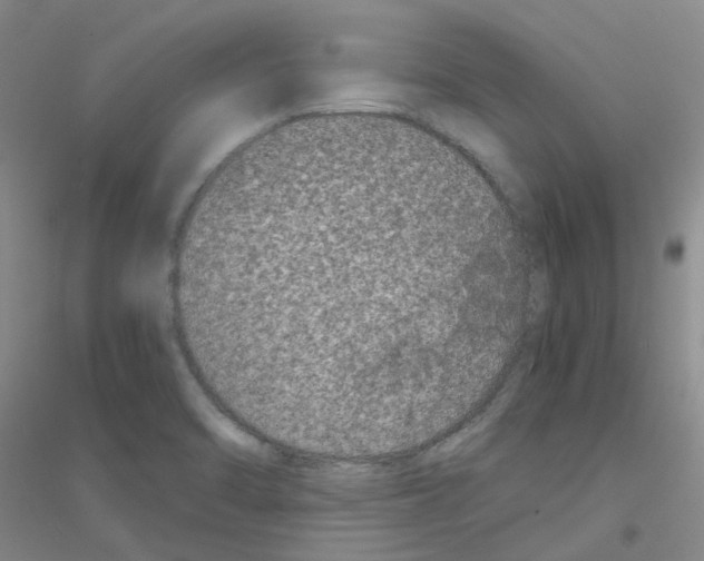 X0000116781470201001281644