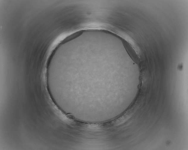 X0000116781472201001281644