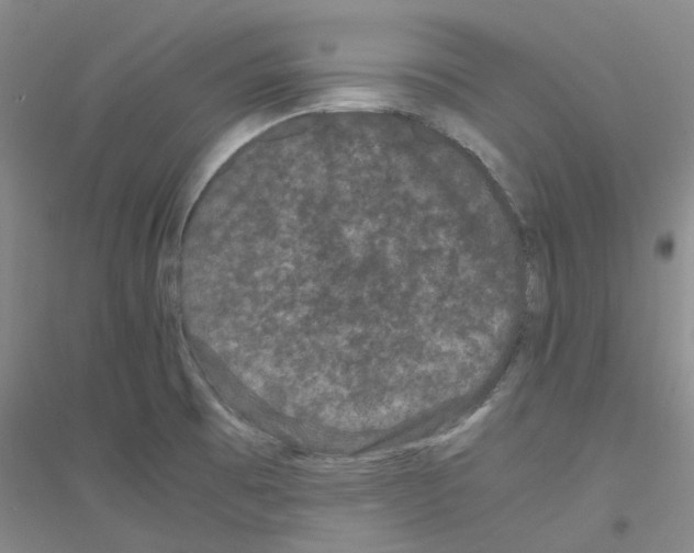 X0000116781473201001281644