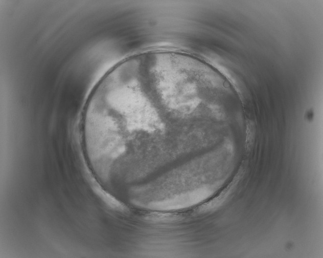 X0000116781474201001281644