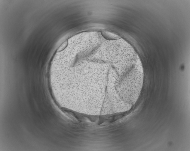 X0000116781475201001281644