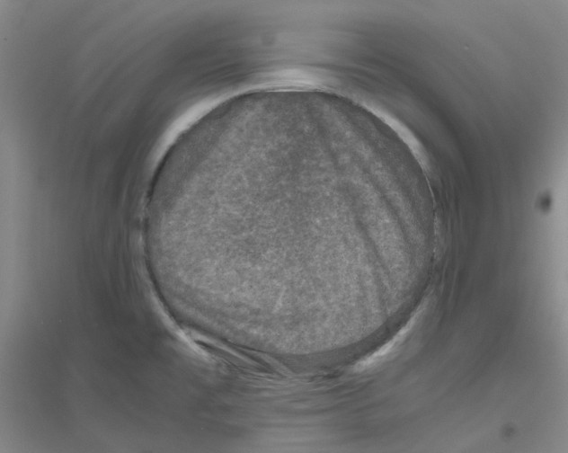 X0000116781477201001281644