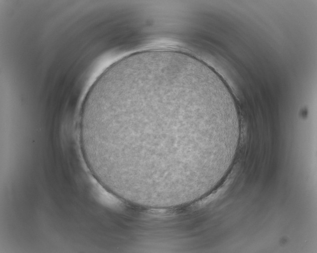 X0000116781478201001281644