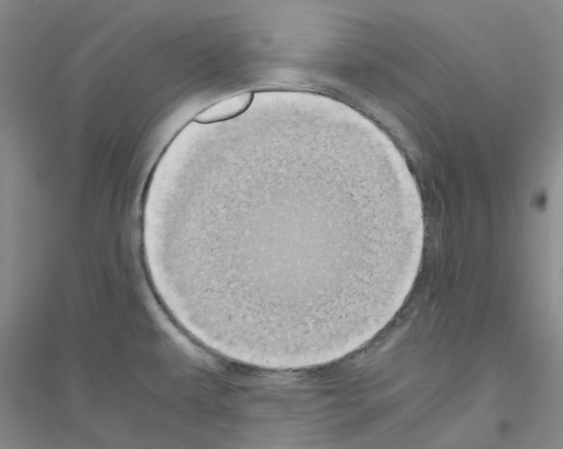 X0000116781479201001281644