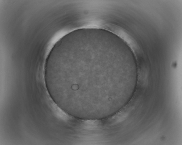 X0000116781480201001281644