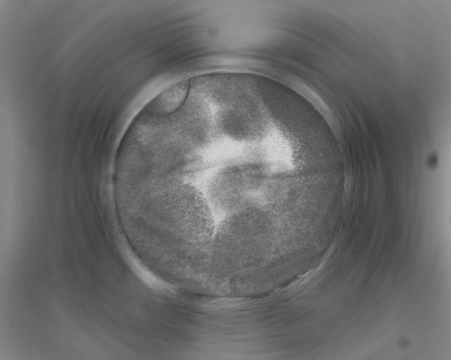 X0000116781482201001281643