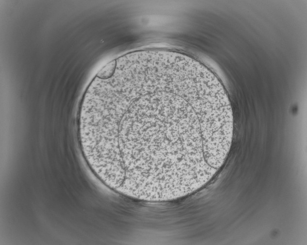 X0000116781483201001281643