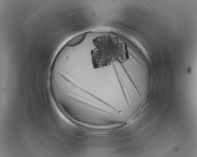 X0000116781484201001281643