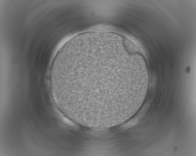 X0000116781486201001281643