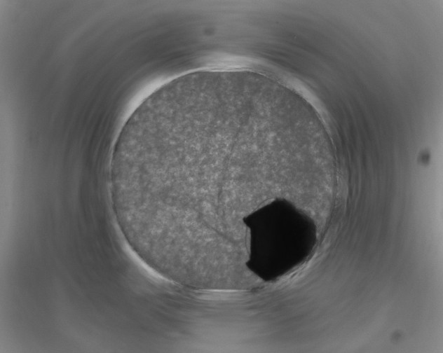 X0000116781487201001281643