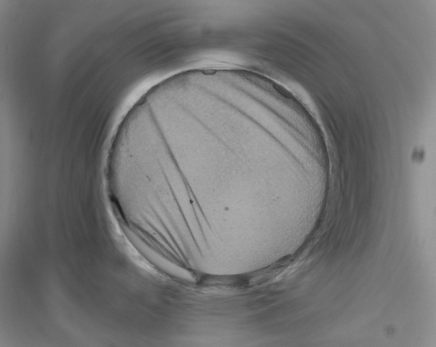 X0000116781488201001281643