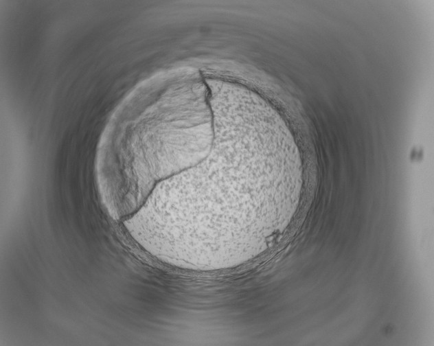 X0000116781489201001281643