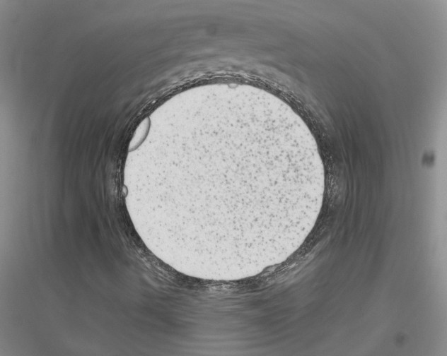 X0000116781490201001281643