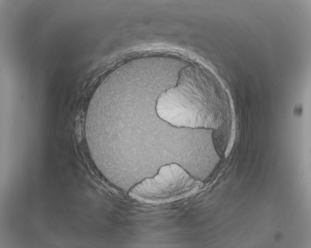 X0000116781493201001281643