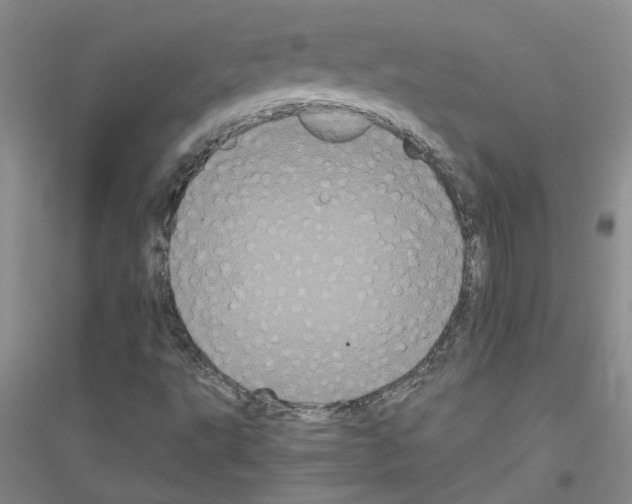 X0000116781495201001281643