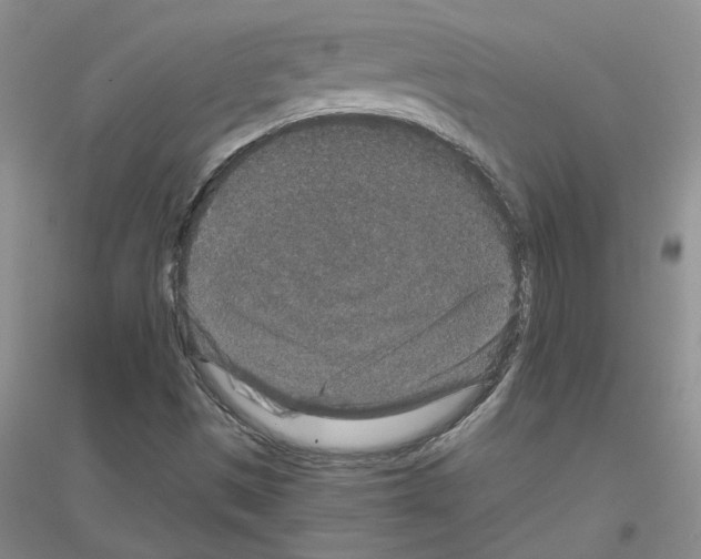 X0000116781497201001281643