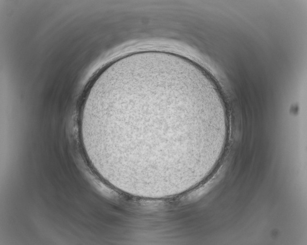 X0000116781498201001281643