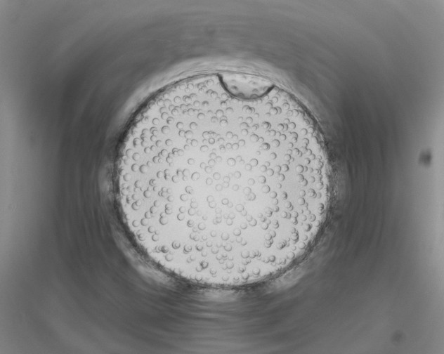 X0000116781499201001281643