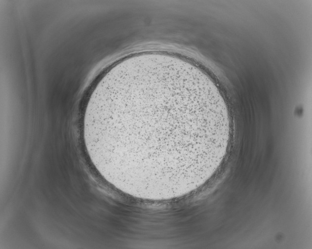 X0000116781501201001281643