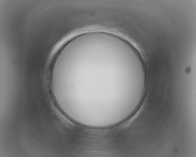 X0000116781502201001281643