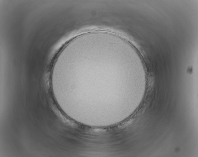 X0000116781503201001281643