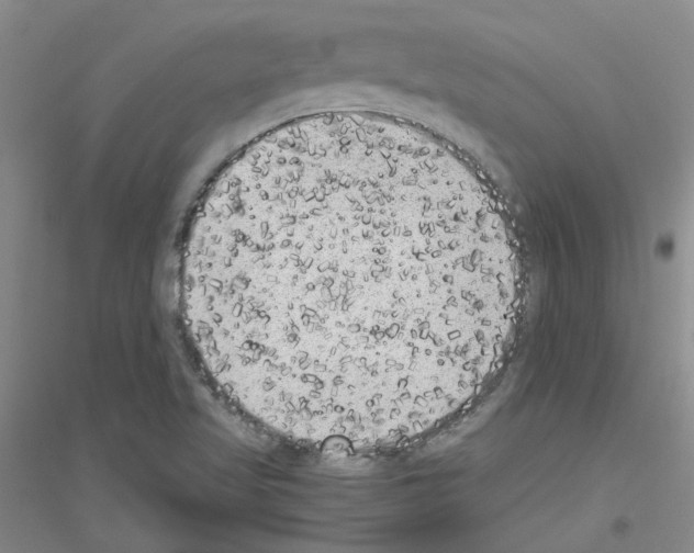 X0000116781509201001281643