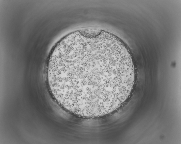 X0000116781510201001281643