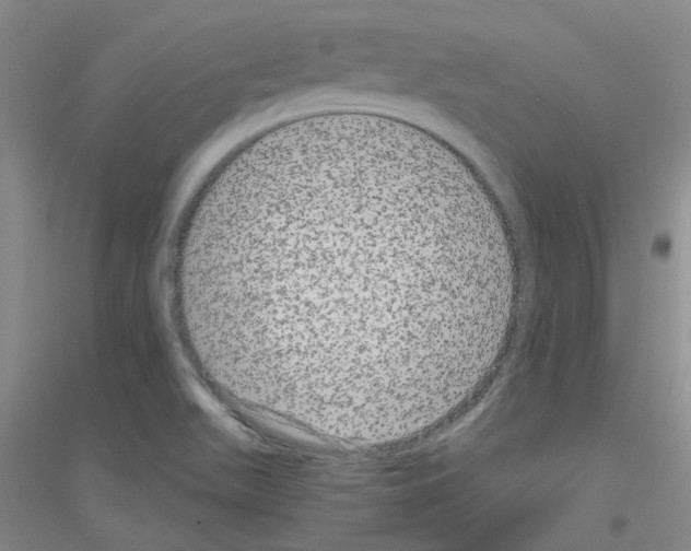 X0000116781511201001281643