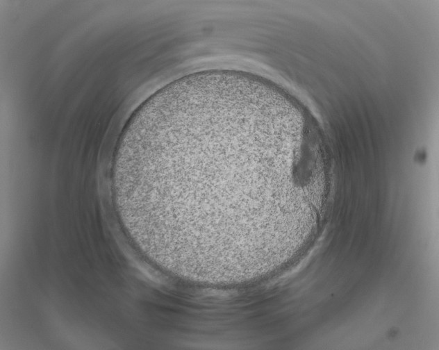 X0000116781513201001281643