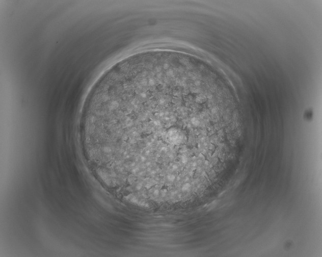 X0000116781514201001281643