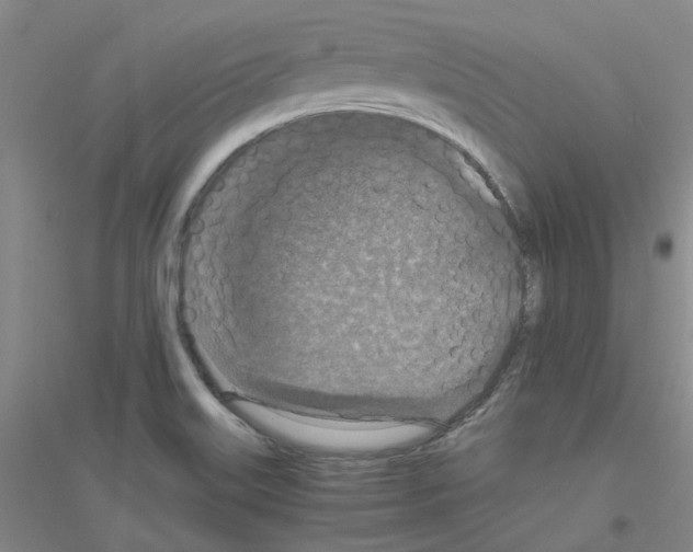 X0000116781515201001281643