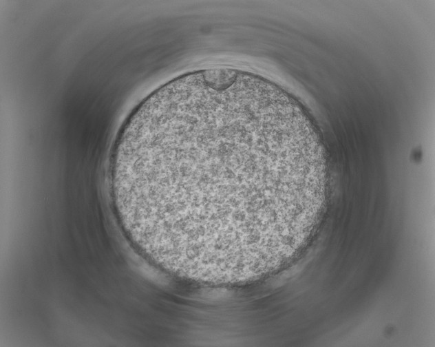 X0000116781517201001281643