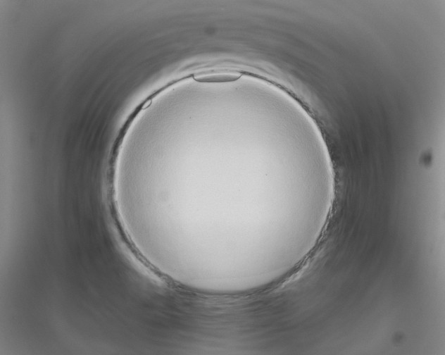 X0000116781518201001281643