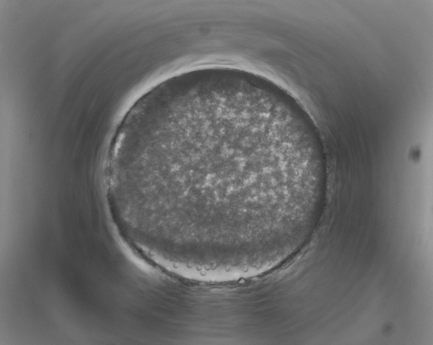 X0000116781519201001281643