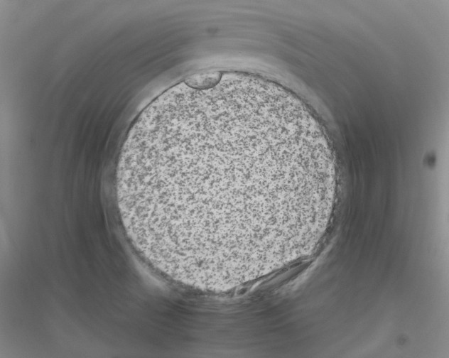 X0000116781521201001281643