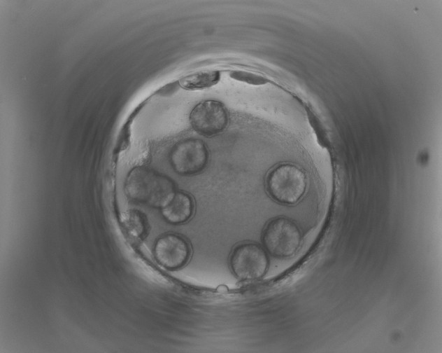 X0000116781522201001281643