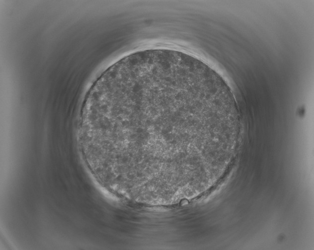 X0000116781525201001281643