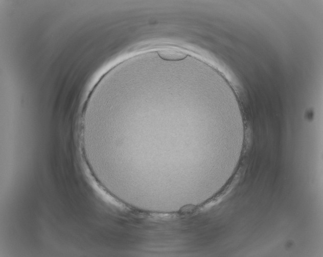 X0000116781526201001281643