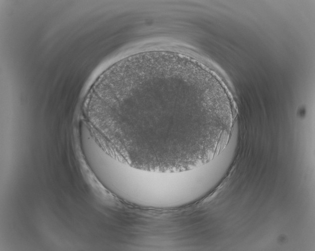 X0000116781530201001281643